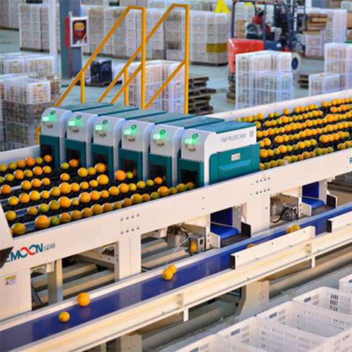 Streamline Your Industrial Processes with Cutting-Edge Sorting Machines