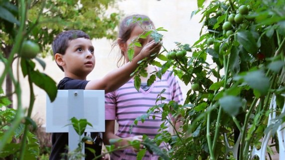 The Power Garden