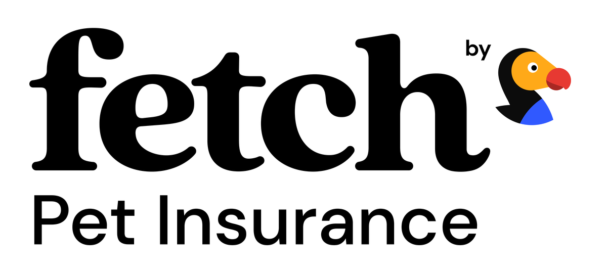Fetch