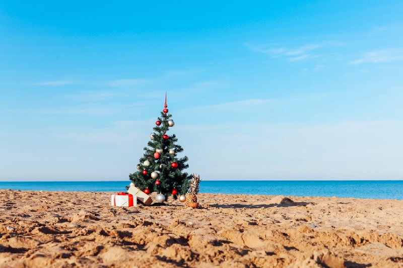 Egipto en Navidad | Experiencias Familiares