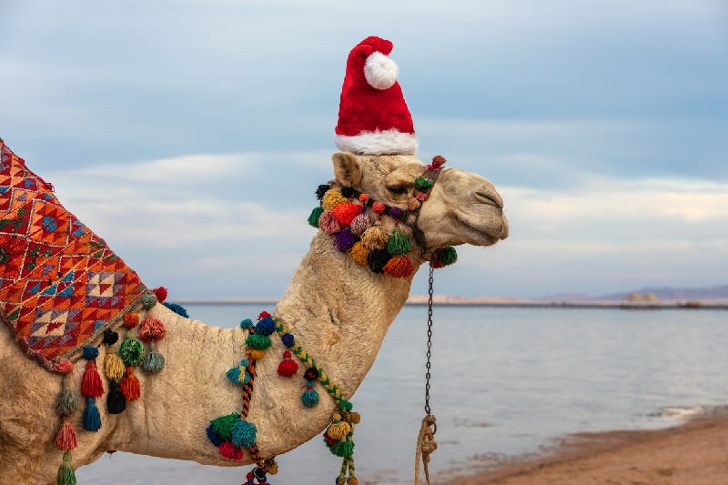 Celebra una Navidad diferente en Egipto 2