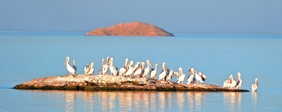 El lago Nasser