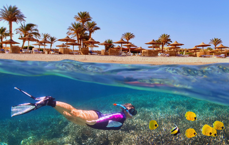 Mujer practicando snorkel junto a un arrecife de coral en el mar Rojo
