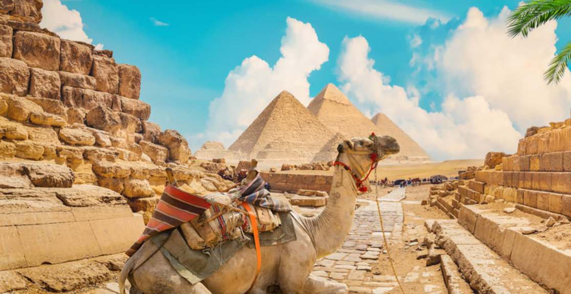le piramidi di Giza ed un cammello davanti