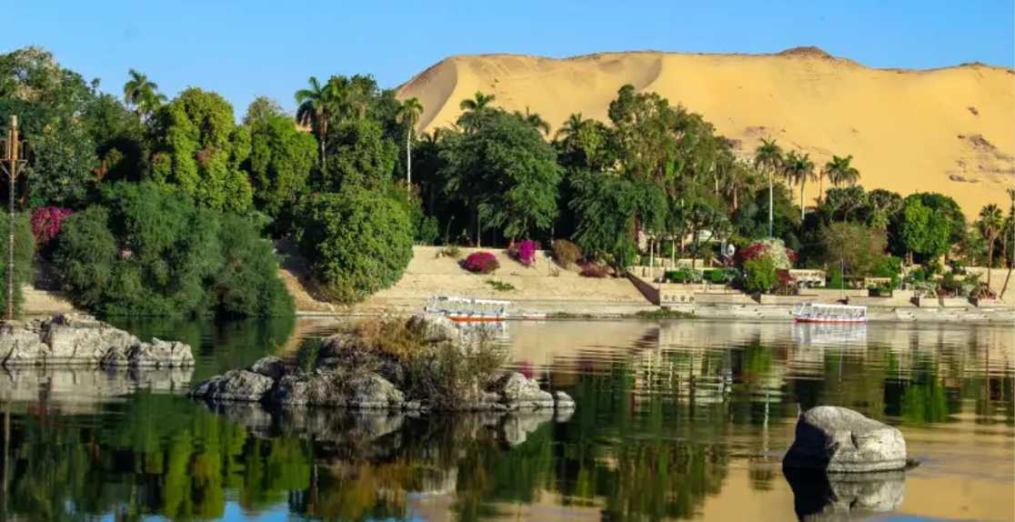 una foto dell'isola elefantina ad assuan, isola di elefantina