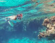 ras mohammed a sharm