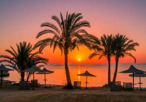 Safari Marsa Alam, Le Palme a Marsa Alam