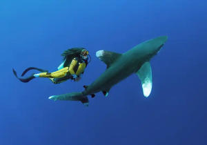 Escursione Dahab e snorkeling al Blue Hole, Tour Dahab da Sharm