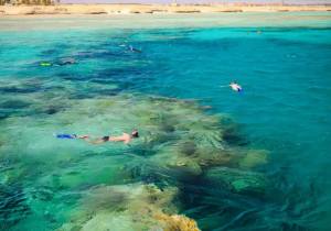 Escursione Isola di Tiran, il Mar Rosso