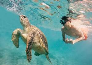 offerte vacanze agosto egitto, un ragazzo nuota al mare