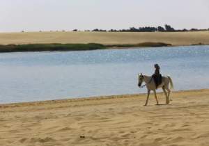 Escursione Oasi del Fayoum, una donna al deserto egizio