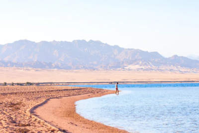 Sharm El Luli: La Guida Segreta al Paradiso del Mar Rosso
