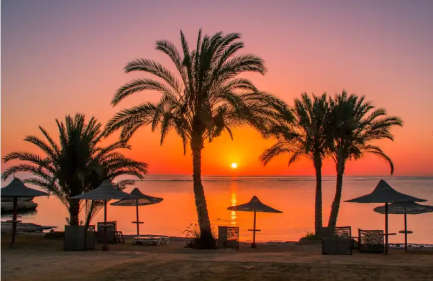 Safari Marsa Alam, Le Palme a Marsa Alam