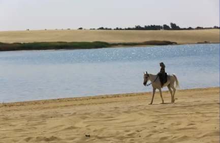 Escursione Oasi del Fayoum ,Tour all'Oasi di El Fayoum