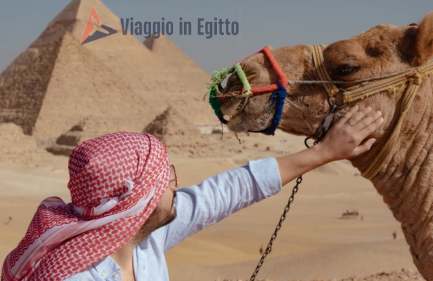 un uomo tocca il cammello davanti alle Piramidi, hurghada piramidi