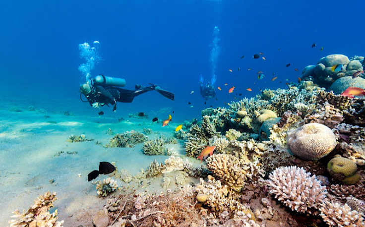 Immersioni mar rosso, un uomo fa immersioni a sharm