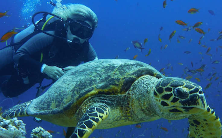 immersioni mar rosso, una donna nuota con la tartaruga