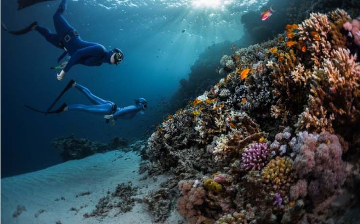 vacanza con bambini, la meraviglia sul Mar Rosso