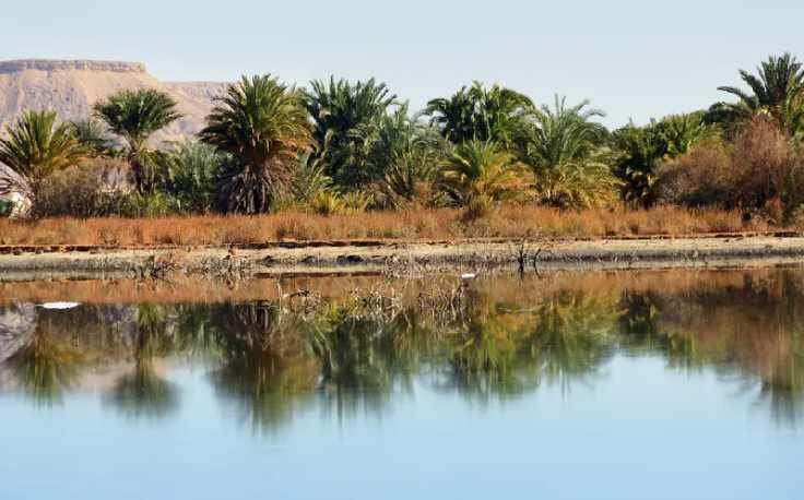 L'oasi di Farafra, oasi egitto