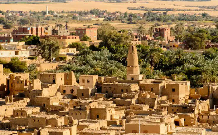 L'oasi di Dakhla, oasi egitto