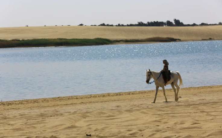 un uomo ammira il tramonto al Fayoum, oasi in egitto