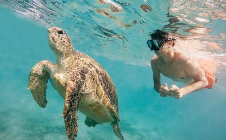 immersione in egitto a marsa alam,  dove andare al mare in egitto