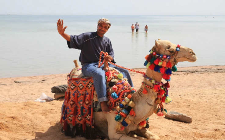 un uomo cavalca il cammello, sharm el shiekh info