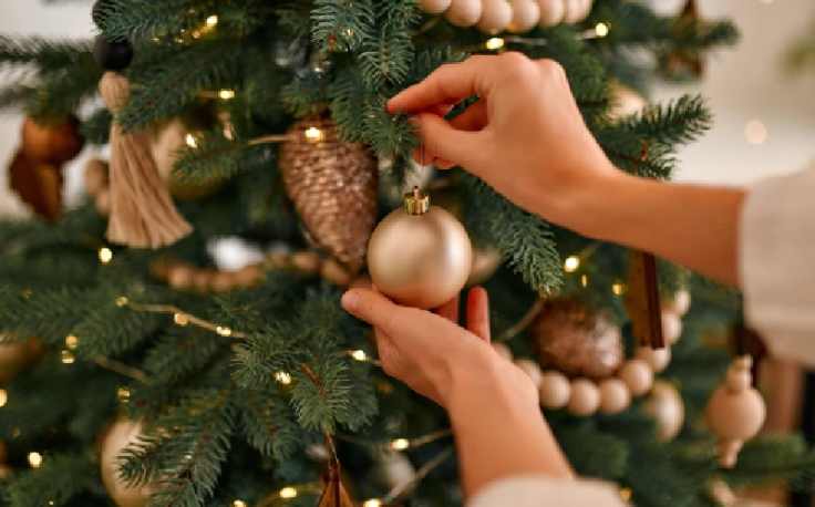 Dove andare a Natale, Una persona tiene la palla sull'albero di Natale