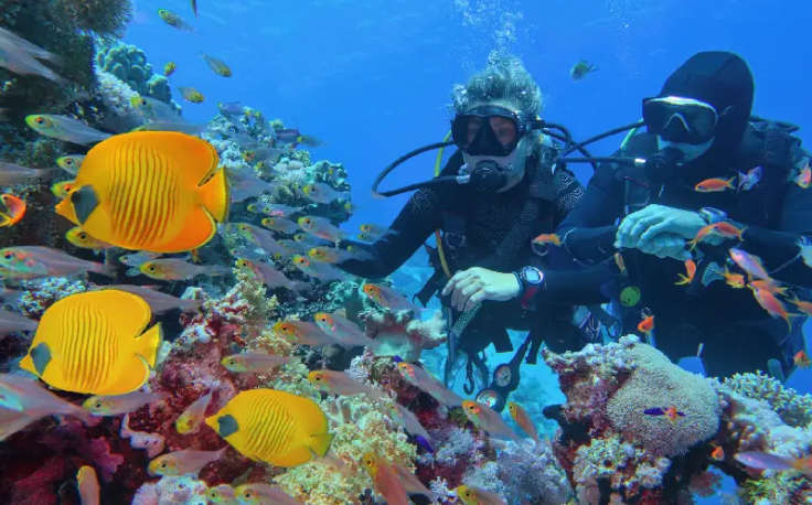 immersione a sharm el shiekh, hurghada  o sharm