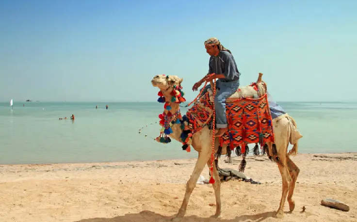 Mar Rosso in Egitto, hurghada o sharm?