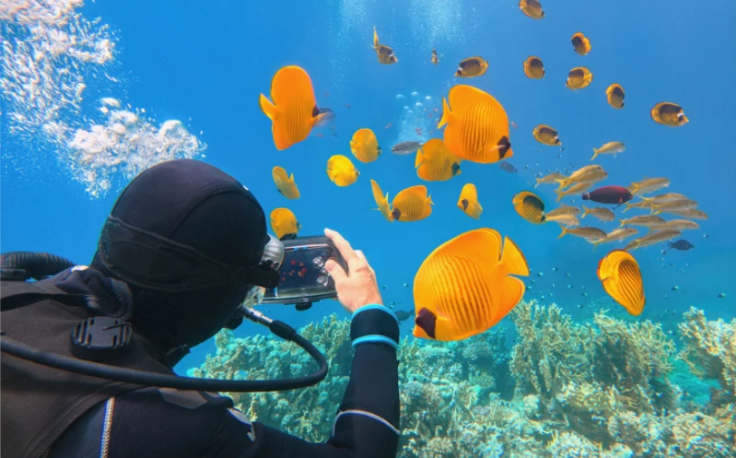 hurghada cosa vedere