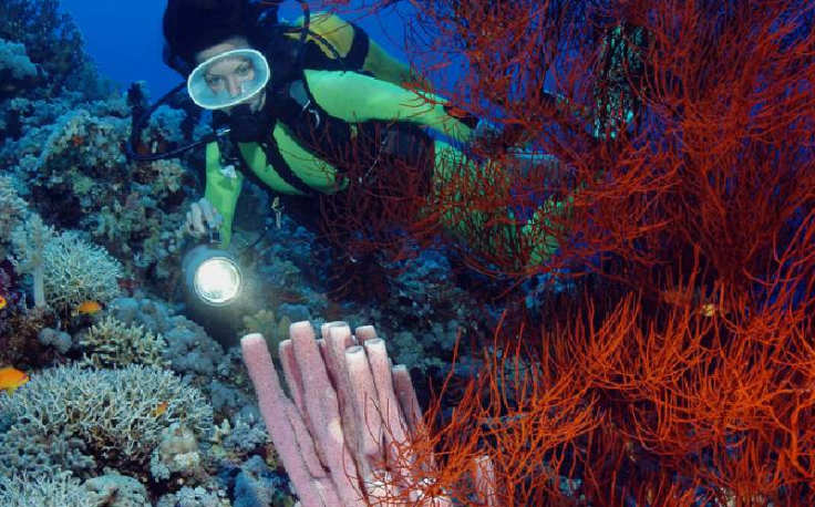 porti sul Mar Rosso, una donna pratica attività a safaga