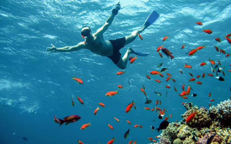 taba mar rosso, un uomo nelle profondità del Mar Rosso