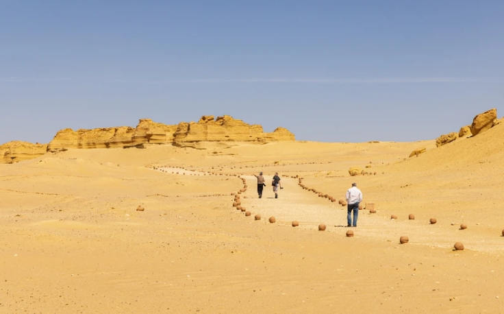 Wadi Hitan