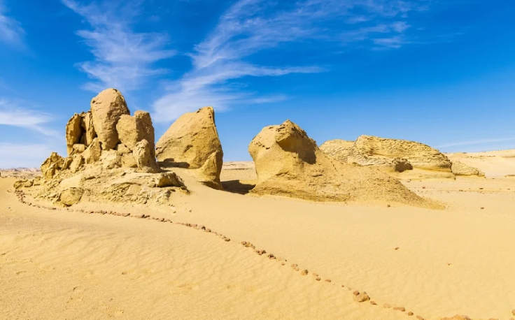 Wadi Hitan