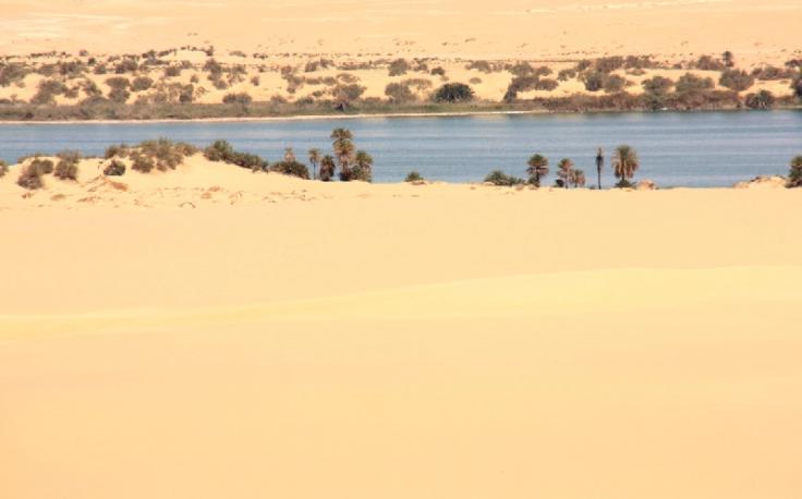 perla del deserto, oasi dakhla
