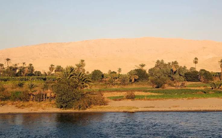 la natura nell’oasi, oasi dakhla