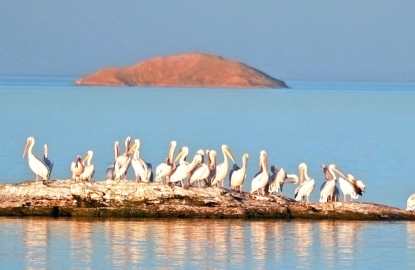 lago Nasser