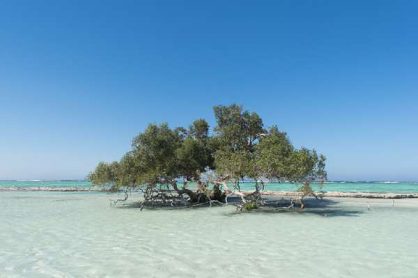 il parco internazionale di wadi elgemal, wadi el gemal