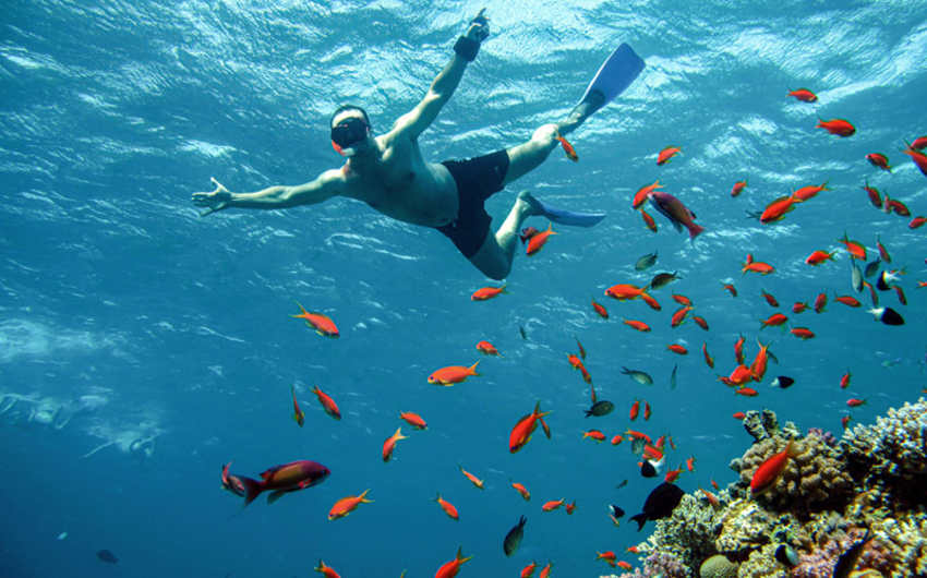 Immersioni mar rosso, un uomo fa snorkeling a hurghada