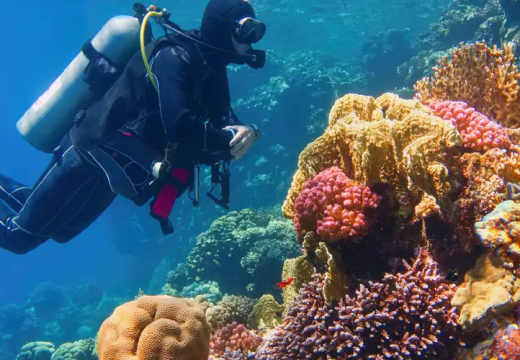 mare, tour egitto piramidi e mare