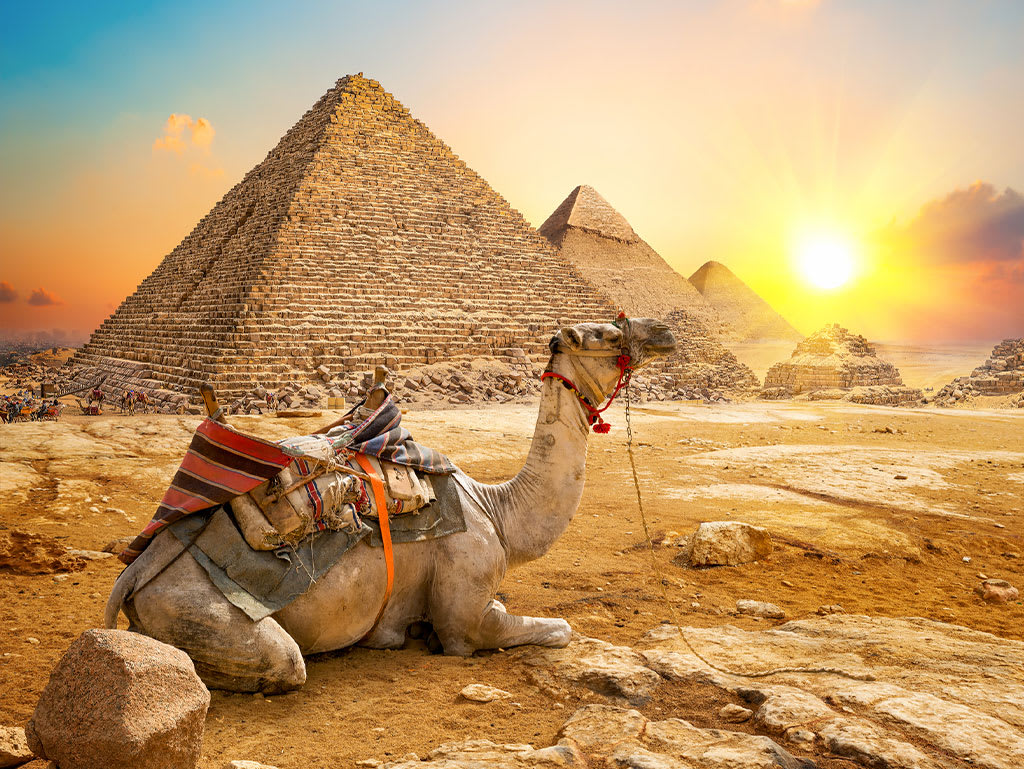 A camel by the Giza Pyramids at sunset, Egypt Budget Tour: 9 Days Cairo, Aswan & Luxor