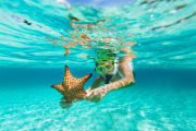 woman snorkel with a star fish, New Year Holidays in Egypt