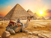 A camel by the Giza Pyramids at sunset, Egypt Budget Tour: 9 Days Cairo, Aswan & Luxor