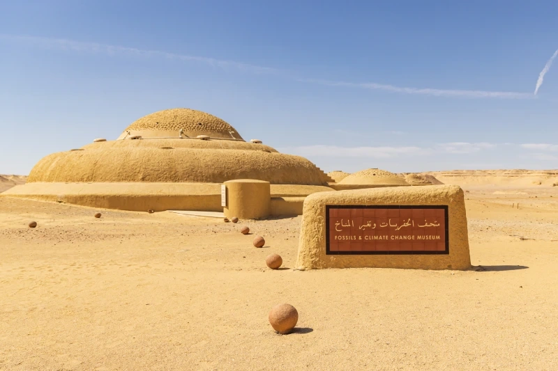 Fossil & Climate Museum on a Fayoum geology and fossils student expedition