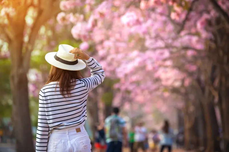 Tour Giappone 10 Giorni | Giappone 10 Giorni