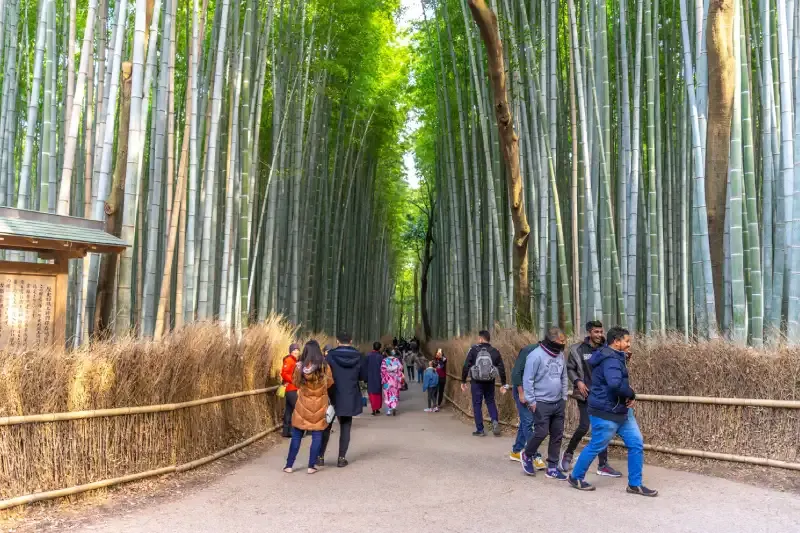 Tour Giappone 10 Giorni | Giappone 10 Giorni