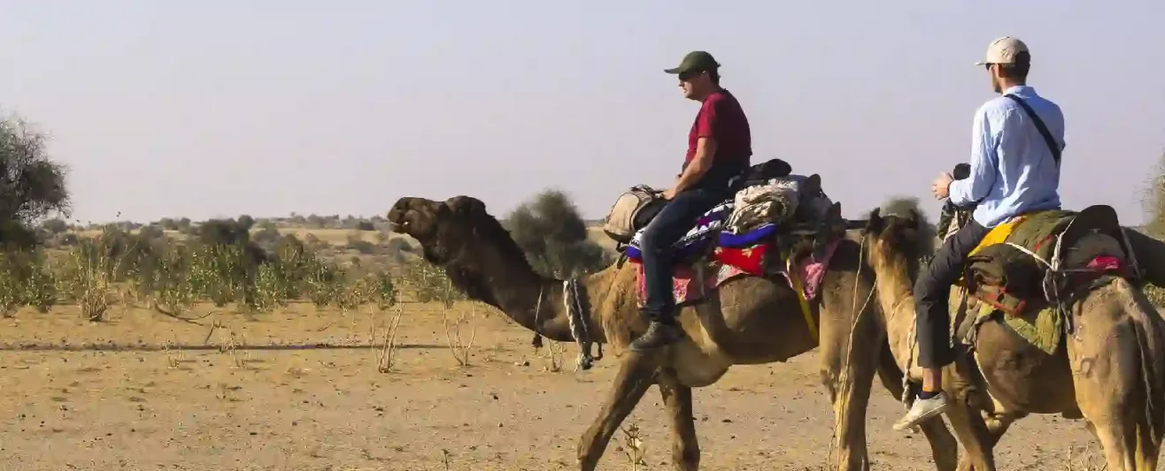 Donna sul cammello nel deserto al tramonto, Offerta Viaggio Marrakech e Deserto Agafay 4 Giorni