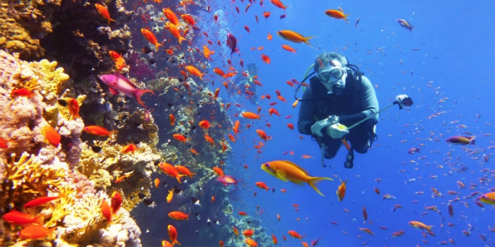 Sharm El Sheikh Tours | Sharm El Sheikh Excursions