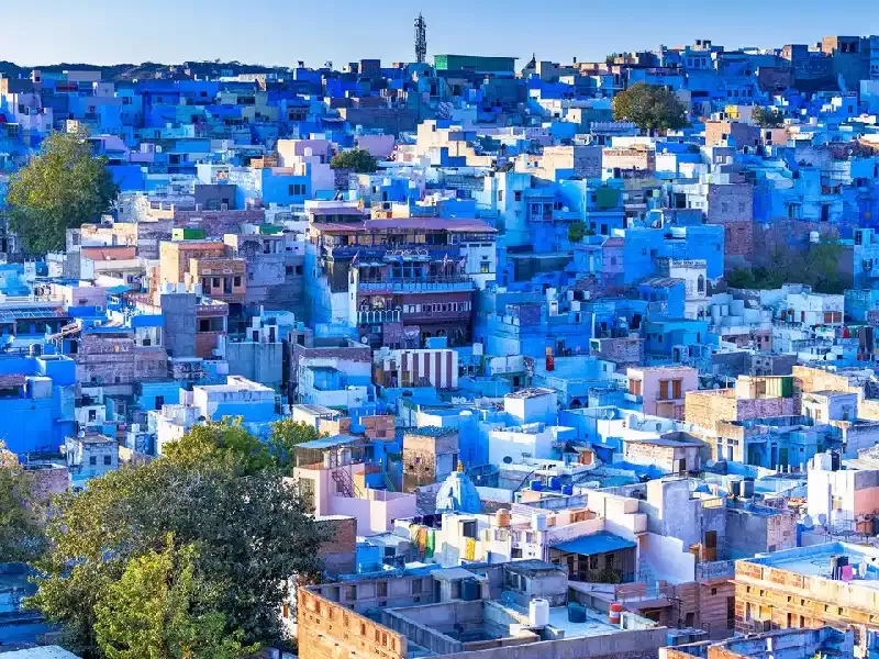 Citta blu india , jodhpur